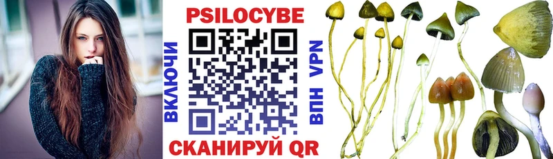 Псилоцибиновые грибы прущие грибы  Любим 